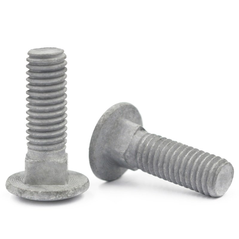 High Strength Grade 4.8 8.8 10.9 12.9 Hot Dip Galvanized HDG DIN603 C ( (6)