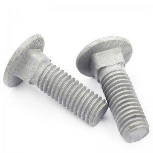 High Strength Grade 4.8 8.8 10.9 12.9 Hot Dip Galvanized HDG DIN603 Carriage Bolts