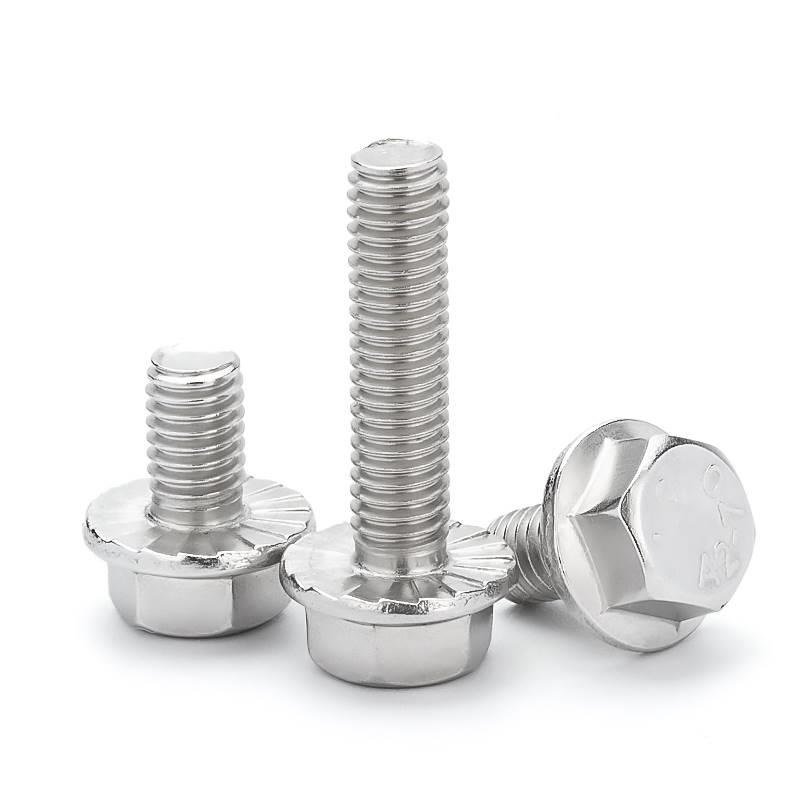 Stainless Steel A2-70 A4-80 SS201 SS304 SS316 DIN6921 Flange Bolts (8)
