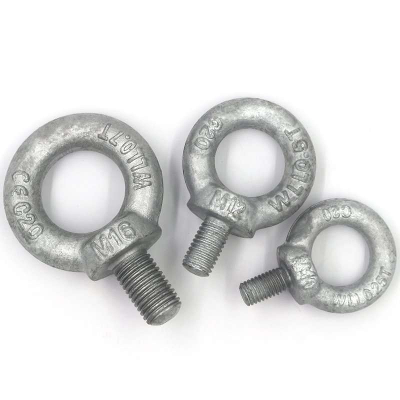 High Strength Grade 4.8 8.8 10.9 12.9 Steel Hot Dip Galvanized HDG DIN58 ( (3)