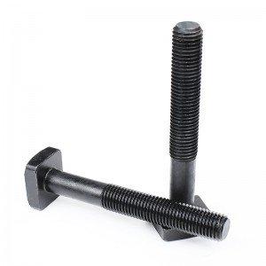 High Strength Grade 4.8 8.8 10.9 12.9 Black Oxide DIN186 T Bolts