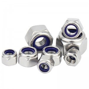 Stainless Steel A2-70 A4-80 SS201 SS304 SS316 DIN982 DIN985 Nylon Lock Nuts Nylock Nuts
