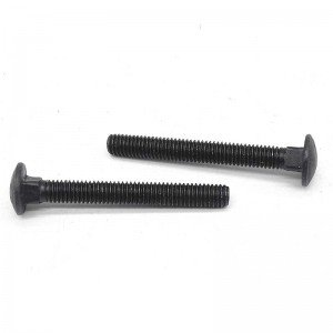 High Strength Grade 4.8 8.8 10.9 12.9 Black Oxide DIN603 Carriage Bolts