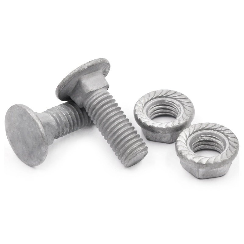 High Strength Grade 4.8 8.8 10.9 12.9 Hot Dip Galvanized HDG DIN603 C (