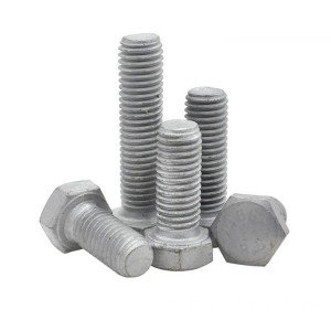 High Strength Grade 8.8 10.9 12.9 Steel DIN931 DIN933 Hot Dip Galvanized HDG Hex Bolts