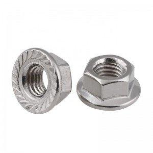 Stainless Steel A2-70 A4-80 SS201 SS304 SS316 DIN6923 Hex Flange Nuts