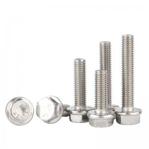 Stainless Steel A2-70 A4-80 SS201 SS304 SS316 DIN6921 Flange Bolts