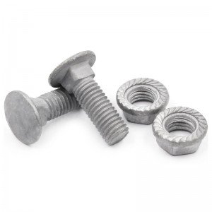 High Strength Grade 4.8 8.8 10.9 12.9 Hot Dip Galvanized HDG DIN603 Carriage Bolts