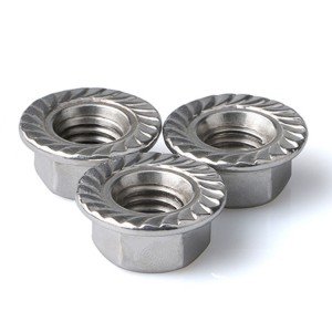 Stainless Steel A2-70 A4-80 SS201 SS304 SS316 DIN6923 Hex Flange Nuts
