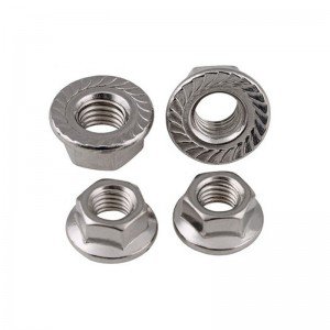 Stainless Steel A2-70 A4-80 SS201 SS304 SS316 DIN6923 Hex Flange Nuts