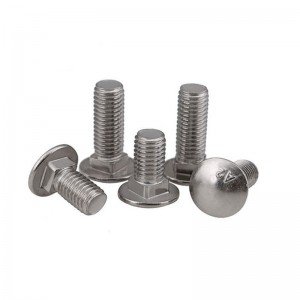 Stainless Steel SS201 SS304 SS316 A2-70 A4-80 DIN603 Carriage Bolts