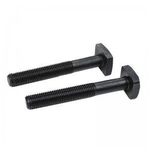 High Strength Grade 4.8 8.8 10.9 12.9 Black Oxide DIN186 T Bolts