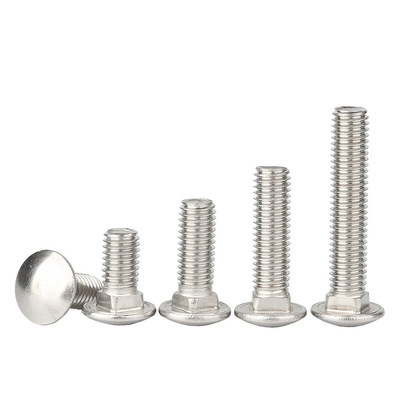 Stainless Steel SS201 SS304 SS316 A2-70 A4-80 DIN603 Carriage Bolts (3)