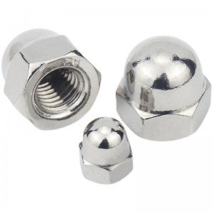 Stainless Steel A2-70 A4-80 SS201 SS304 SS316 DIN1587 Cap Nuts