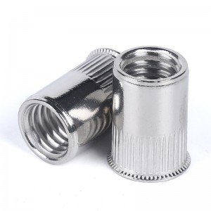 Stainless Steel A2-70 A4-80 SS201 SS304 SS316 DIN7340 Rivet Nuts