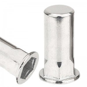 Half-Hexagon Rivet Nut Reduced Head Closed End ss 304