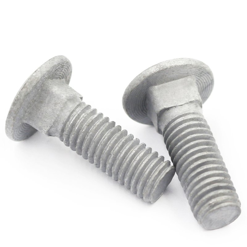 High Strength Grade 4.8 8.8 10.9 12.9 Hot Dip Galvanized HDG DIN603 C ( (5)