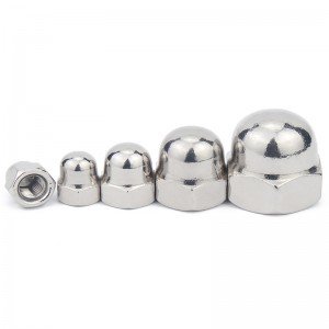 Stainless Steel A2-70 A4-80 SS201 SS304 SS316 DIN1587 Cap Nuts