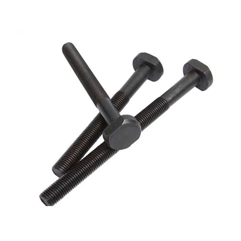 High Strength Grade 4.8 8.8 10.9 12.9 Black Oxide DIN186 T Bolts (16)